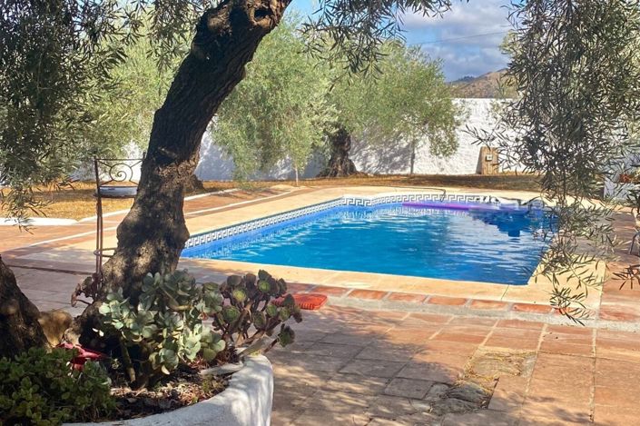Image No.2-4 Bed Cortijo for sale