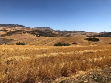 114185-property-for-sale-in-alora-84092727-la
