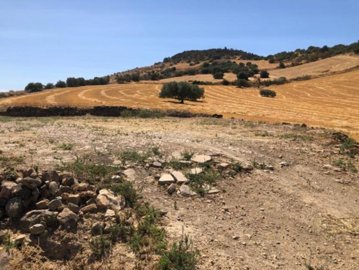 114185-property-for-sale-in-alora-84092728-la