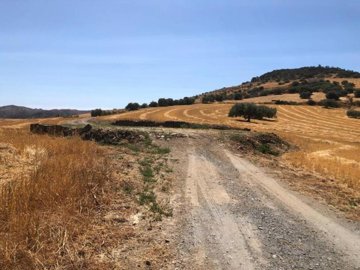 114185-property-for-sale-in-alora-84092730-la