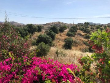 113390-property-for-sale-in-alora-84021546-la