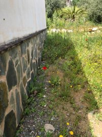 112241-property-for-sale-in-alora-83971410-la