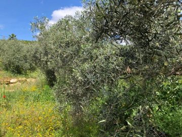 112241-property-for-sale-in-alora-83971408-la