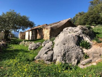 111748-property-for-sale-in-el-chorro-8347474