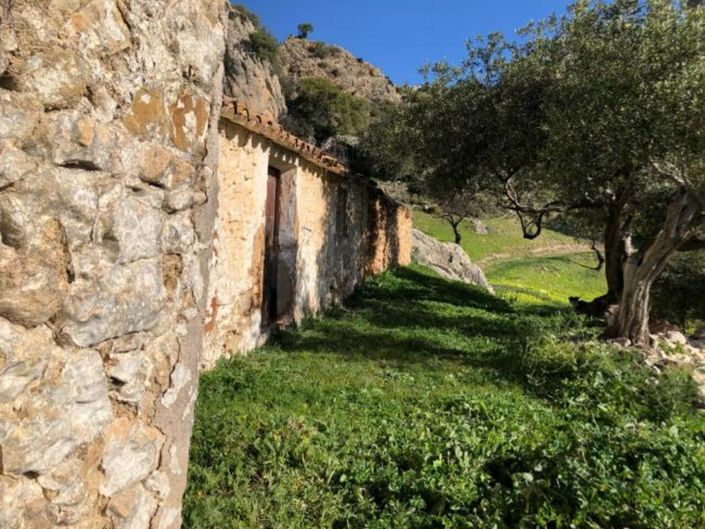 Image No.12-Finca for sale