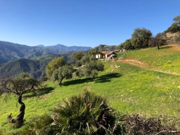 111748-property-for-sale-in-el-chorro-8347475