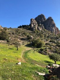 111748-property-for-sale-in-el-chorro-8347475