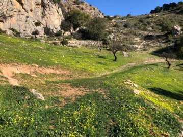 111748-property-for-sale-in-el-chorro-8347475