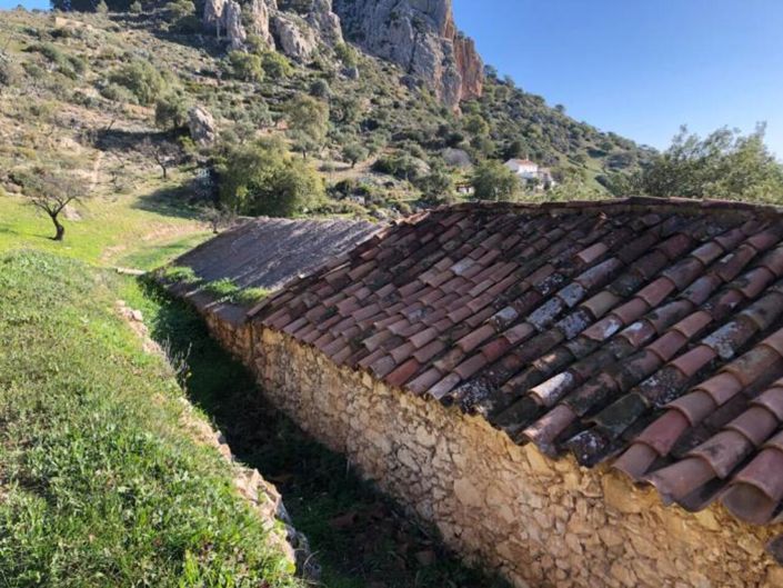 Image No.4-Finca for sale