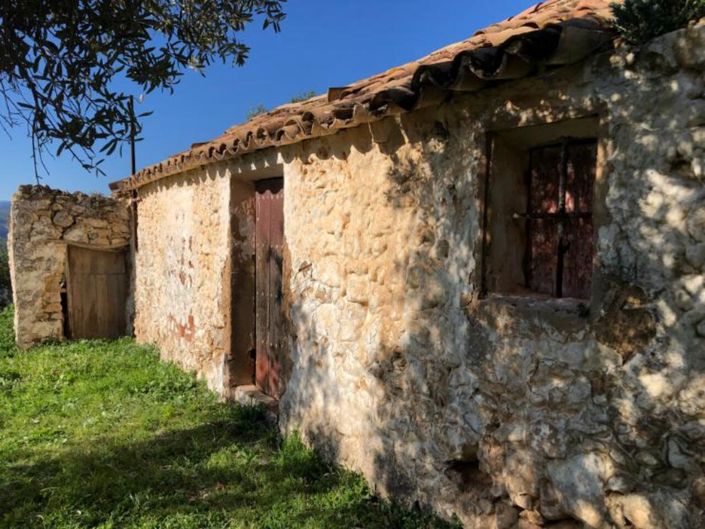Image No.6-Finca for sale
