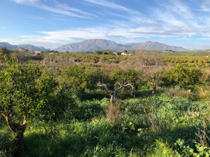 Image No.10-Finca à vendre à Álora