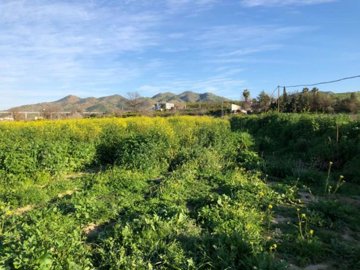 111760-property-for-sale-in-alora-83889211-la