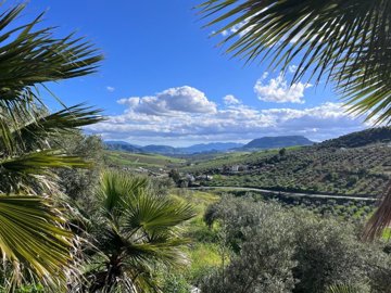 115208-property-for-sale-in-alora-84171943-la