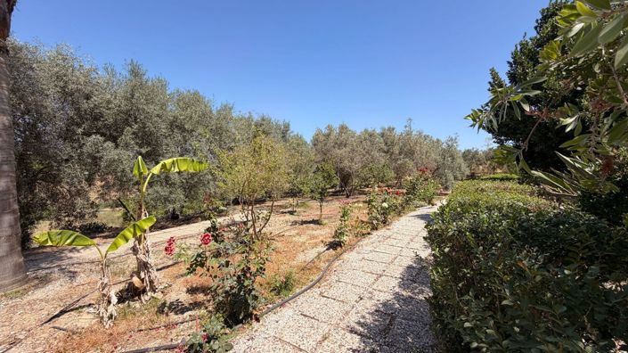 Image No.27-3 Bed Country House for sale