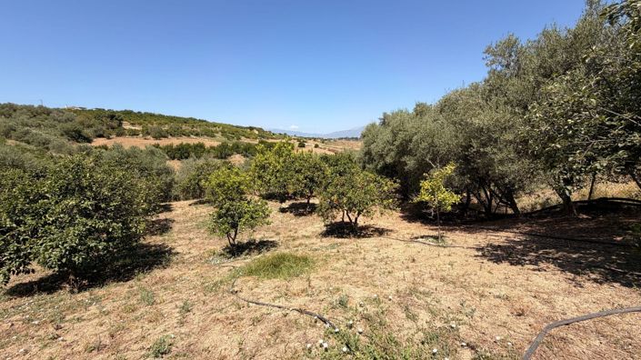 Image No.30-3 Bed Country House for sale