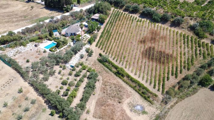 Image No.4-3 Bed Country House for sale