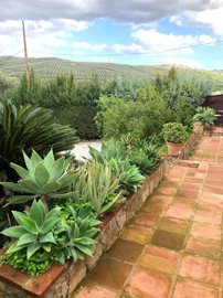 117520-property-for-sale-in-alora-84325171-la