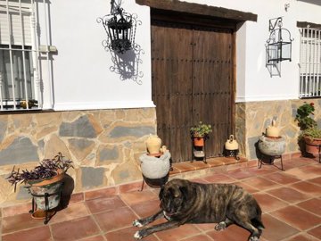 117138-property-for-sale-in-alora-84279945-la