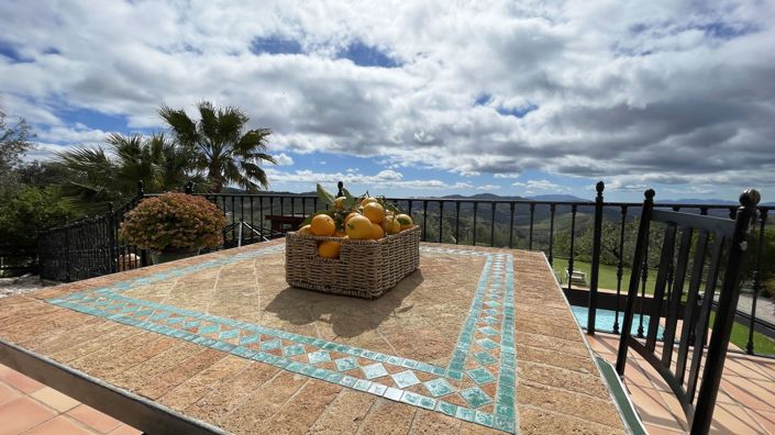 Image No.40-5 Bed Country House for sale