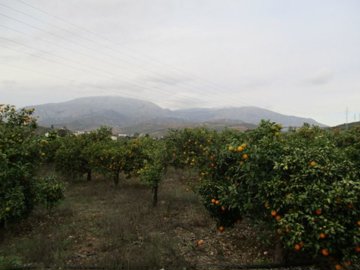 233-country-house-for-sale-in-alora-15-large