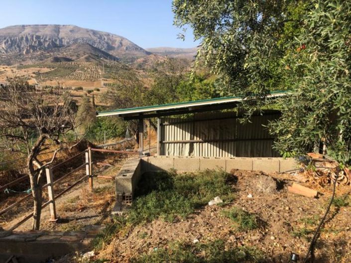 Image No.20-5 Bed Finca for sale