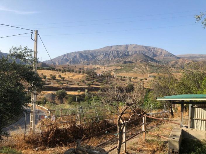 Image No.23-5 Bed Finca for sale