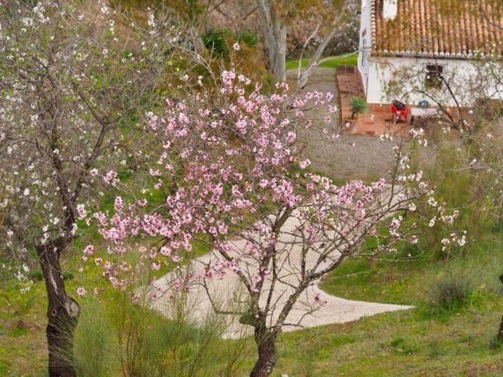 Image No.17-2 Bed Country House for sale