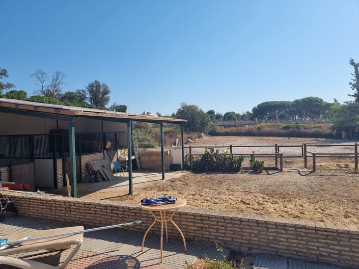 Image No.29-3 Bed Finca for sale