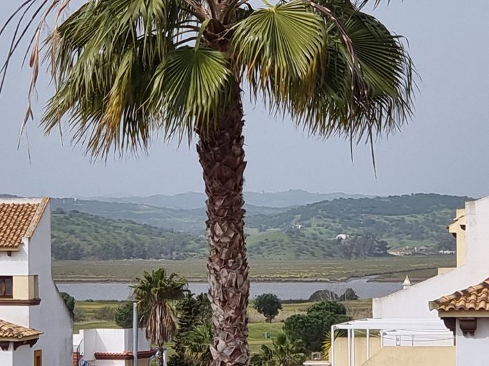 Image No.3-Appartement de 3 chambres à vendre à Ayamonte