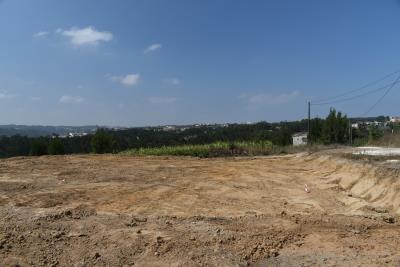 DSC_0193--2-