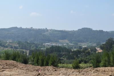 DSC_0197--2-