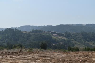 DSC_0198--2-