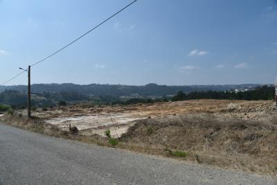 DSC_0201--2-