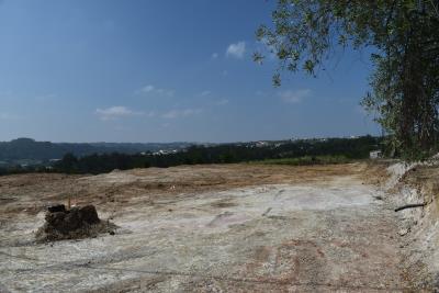DSC_0206--2-