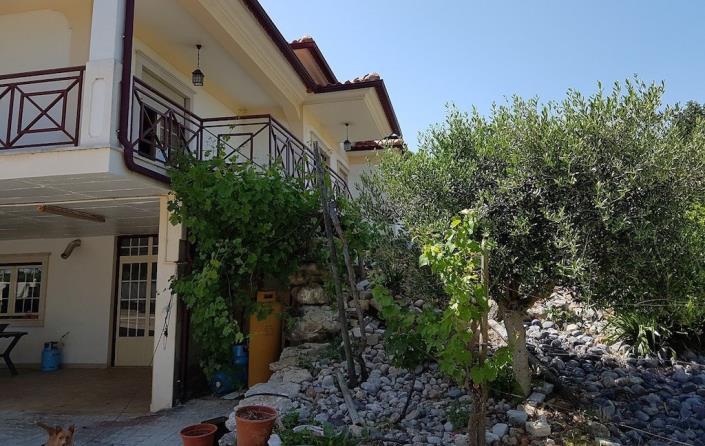 Image No.2-Ferme de 3 chambres à vendre à Alcobaça