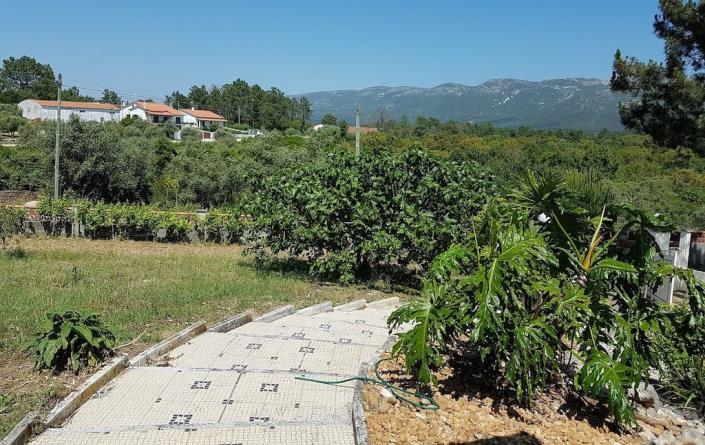 Image No.8-Ferme de 3 chambres à vendre à Alcobaça