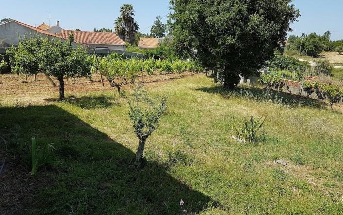 Image No.9-Ferme de 3 chambres à vendre à Alcobaça