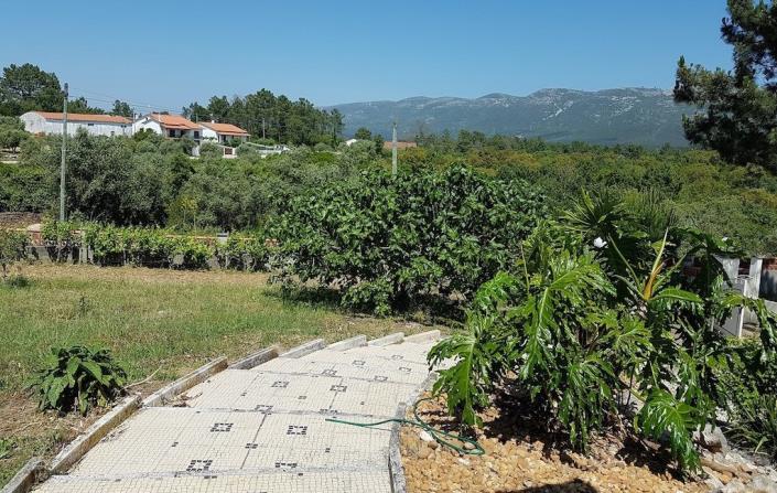 Image No.10-Ferme de 3 chambres à vendre à Alcobaça