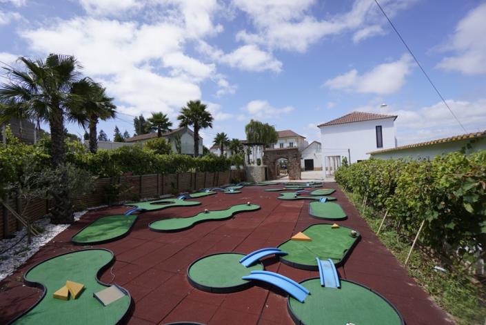 Image No.2-9 Bed Mansion for sale