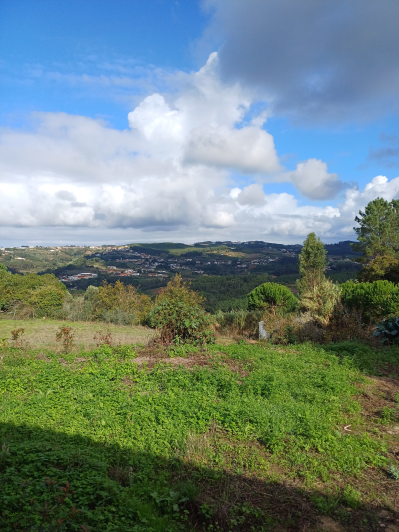 Image No.4-2 Bed House for sale