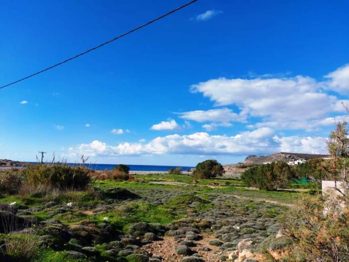 Image No.1-Terre à vendre à Sitia