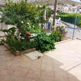 Ziros-6-833--3-