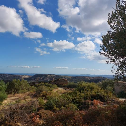 Image No.1-Terre à vendre à Sitia