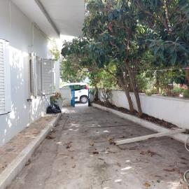 6-928-Sykia--1-