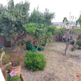Agathias-6-943--12-