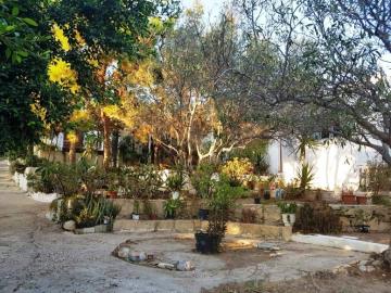 Ierapetra-4-706--2-