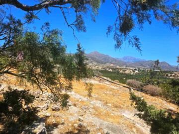 Ierapetra-4-706--10-