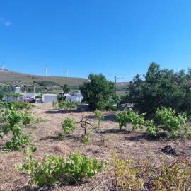 Chnadras-6-970--2-