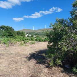 Chnadras-6-970--3-