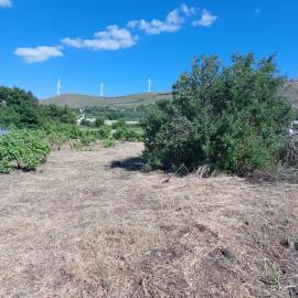 Chnadras-6-970--4-